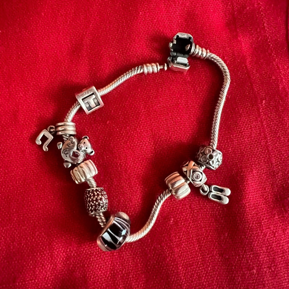 Silver Charm Bracelet - Picture 3 of 3